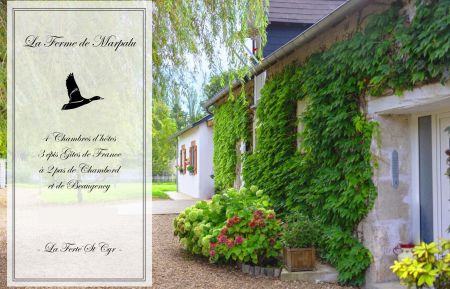 Chambre d'h&ocirc;tes n&deg;41G10268 La Fert&eacute;-Saint-Cyr - Loir-et-Cher - La Ferme de Marpalu (photo du propri&eacute;taire)
