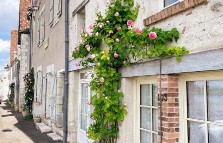 G&icirc;te n&deg;41G1451 Chaumont-sur-Loire - Loir-et-Cher - photo