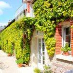 gite - Glycines - AVERDON - Loir-et-Cher