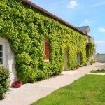gite - Hortensias - AVERDON - Loir-et-Cher