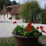 gite - Grand G&icirc;te du Vieux Pressoir - COUR CHEVERNY - Loir-et-Cher