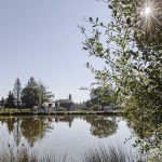 gite-etape - G&icirc;te du Grand Ch&ecirc;ne - NEUNG SUR BEUVRON - Loir-et-Cher