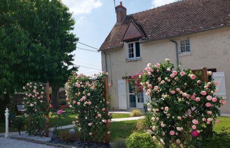Chambre d'h&ocirc;tes n&deg;41G10338 Vineuil - Loir-et-Cher - photo