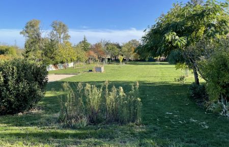 Vue sur l'ensemble du terrain arboré avec terrain de boules et trampoline (photo du propriétaire) Gîte n°41G1301 Veuzain-sur-Loire - Loir-et-Cher - Vue sur l'ensemble du terrain arboré avec terrain de boules et trampoline (photo du propriétaire)