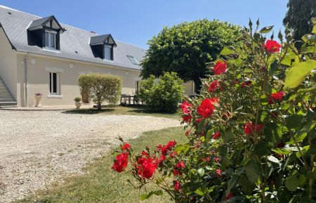 G&icirc;te n&deg;41G1234 Le Controis-en-Sologne - Loir-et-Cher - photo
