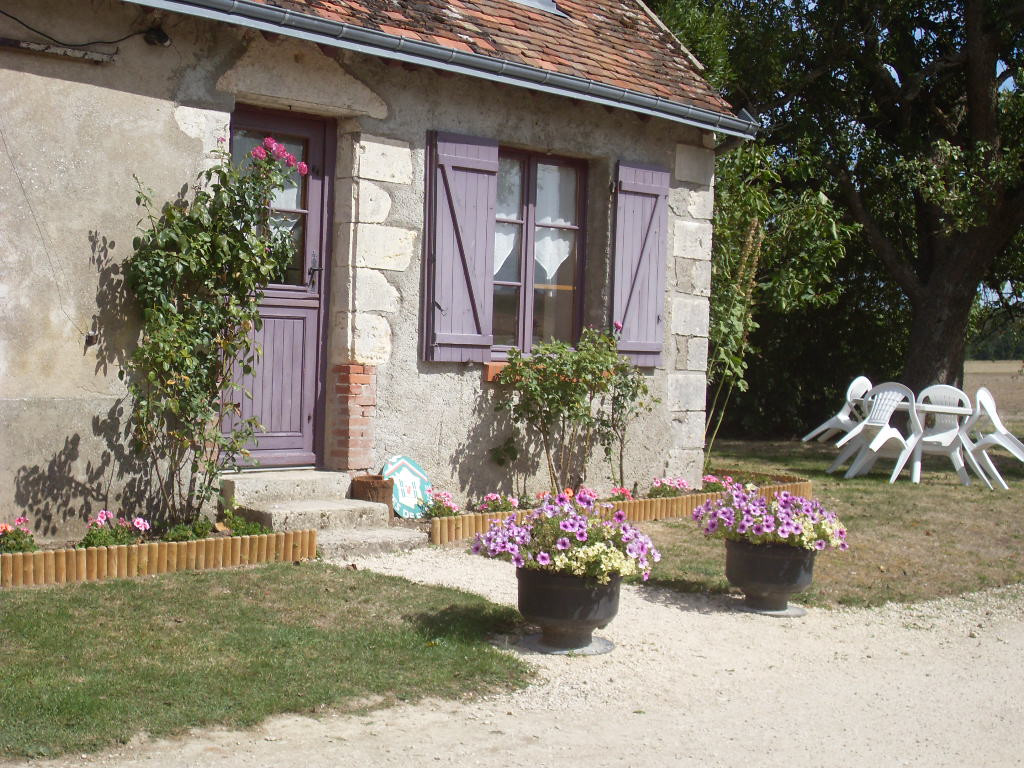 photo 0