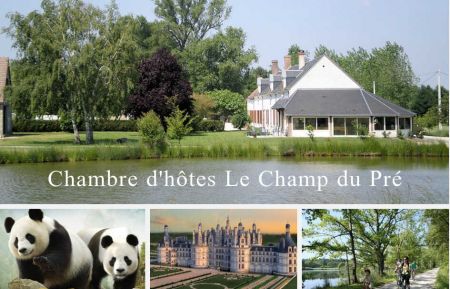 Chambre d'h&ocirc;tes n&deg;41G10017 Gi&egrave;vres - Loir-et-Cher - Bienvenue au Champ du Pr&eacute; - Chambres d'h&ocirc;tes en Sologne pr&egrave;s du Zooparc de Beauval et des Ch&acirc;teaux du Val de Loire