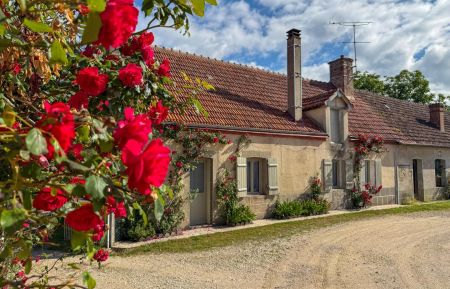 G&icirc;te n&deg;41G1491 Villeny - Loir-et-Cher - photo